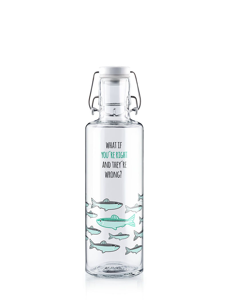 soulbottle • Trinkflasche aus Glas 600ml you're right